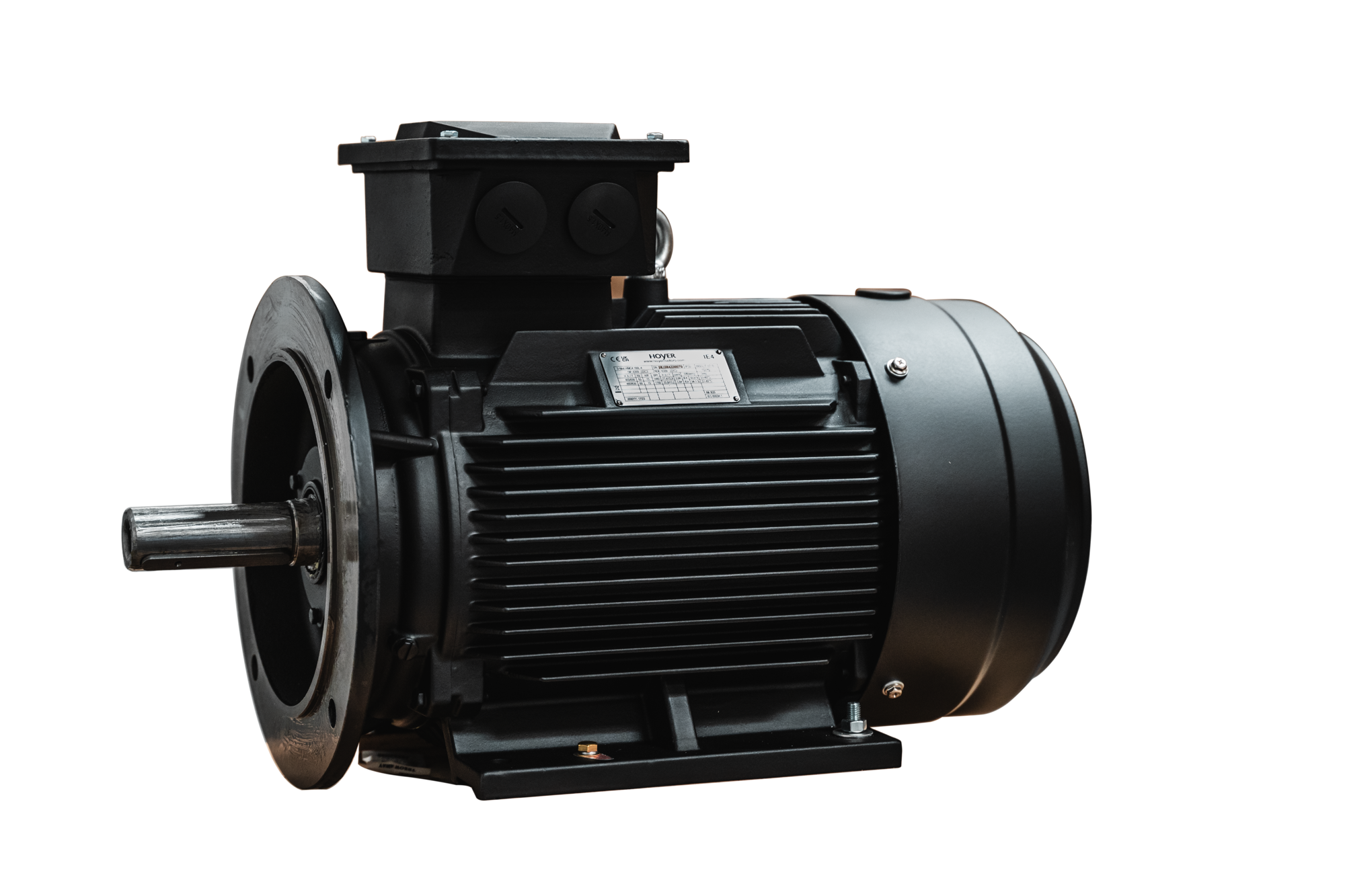 Electric motor supplier find the motor for your industry needs here