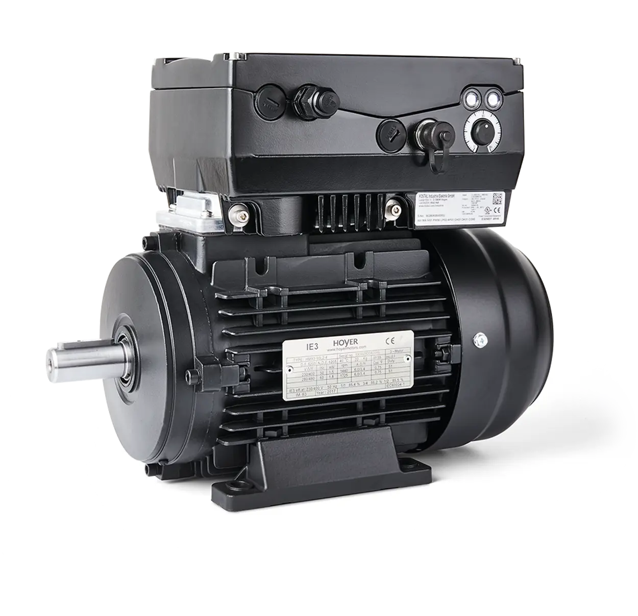 Water and Wastewater | Electric motors | Hoyer