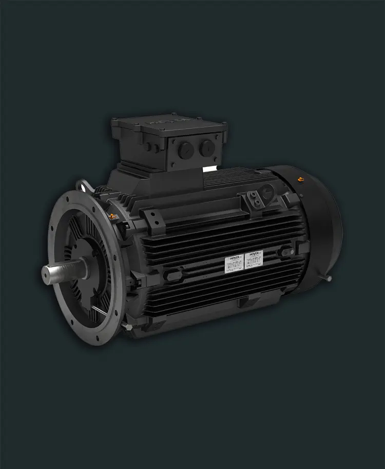 Explosion proof motor classification
